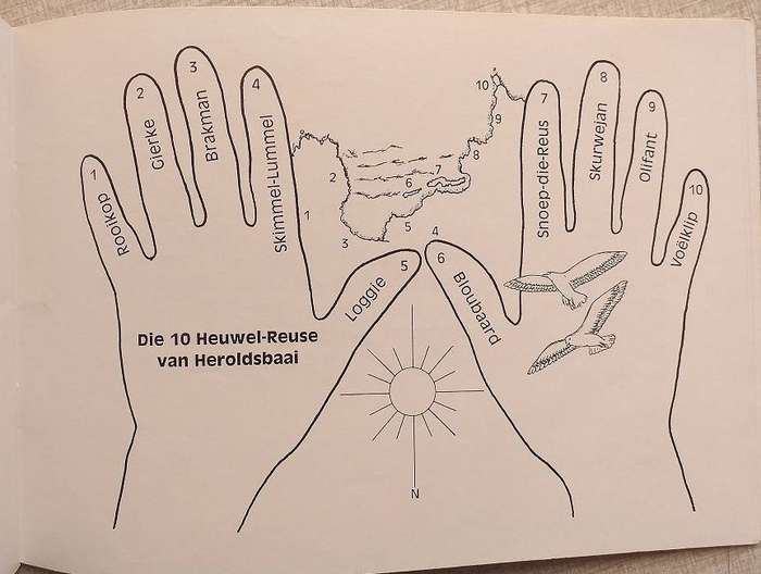 Die 10 Heuwel Reuse van Heroldsbaai (Myra Lochner)