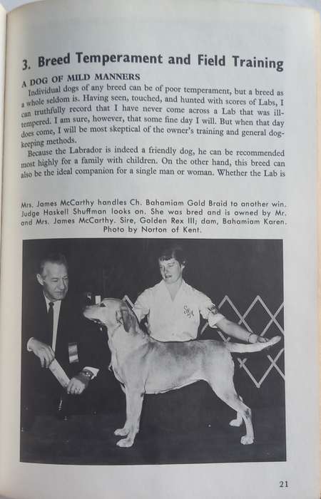 How to raise and train a Labrador Retriever *** READING COPY ***