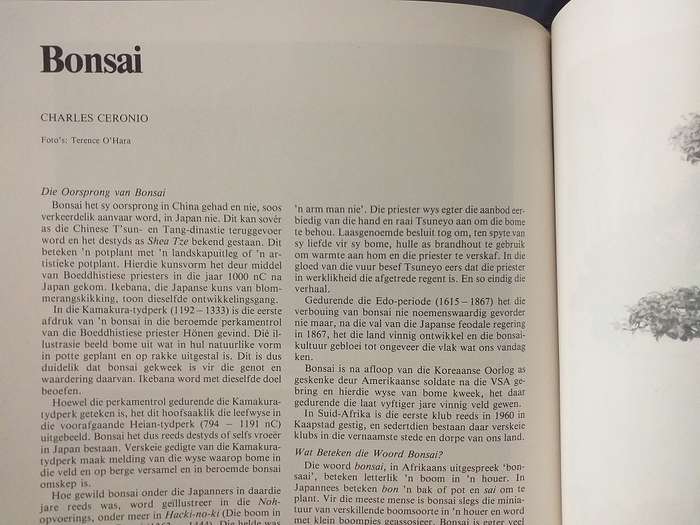 Lantern Tydskrif Magazine Des 1982 vol 32 nr 1