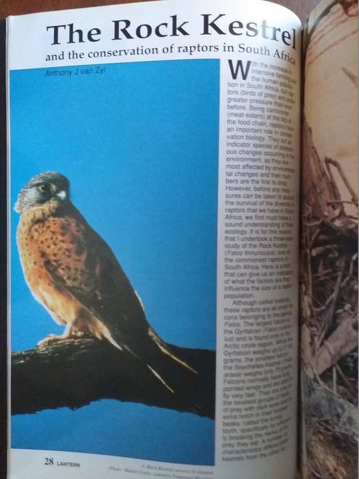Lantern Tydskrif Magazine 1993 vol 42 nr 4
