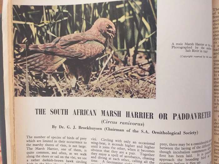 Lantern Tydskrif Magazine Sept 1951 vol 1 nr 4