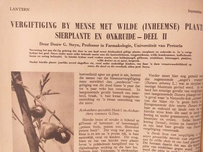 Lantern Tydskrif Magazine Sept 1951 vol 1 nr 4