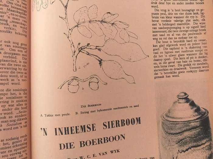 Lantern Tydskrif Magazine Sept 1951 vol 1 nr 4