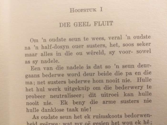 Onder die lood (JP Muller)