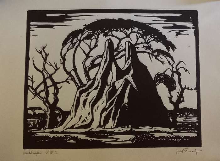 Linosniee afdruk van MIershope SWA deur Jacob Hendrik Pierneef