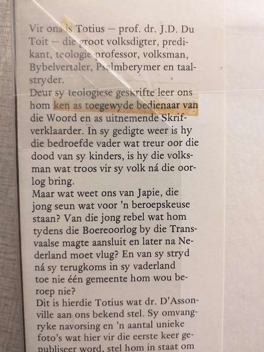 Totius Profeet van die Mooirivier (VE d'Assonville)