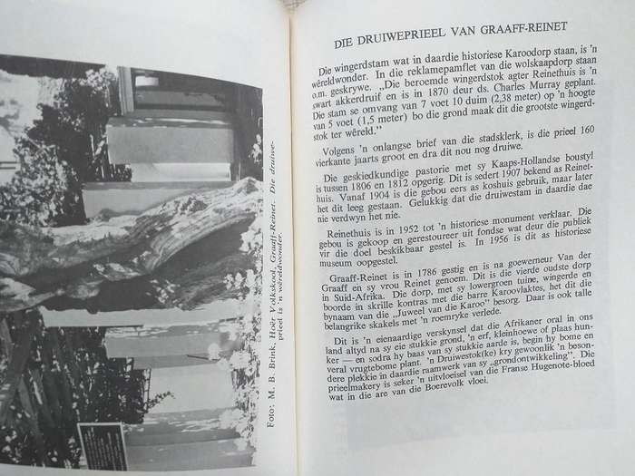 Verhale en Foto's van veertig Boommonumente in Suid-Afrika (Dr JJ van Tonder)