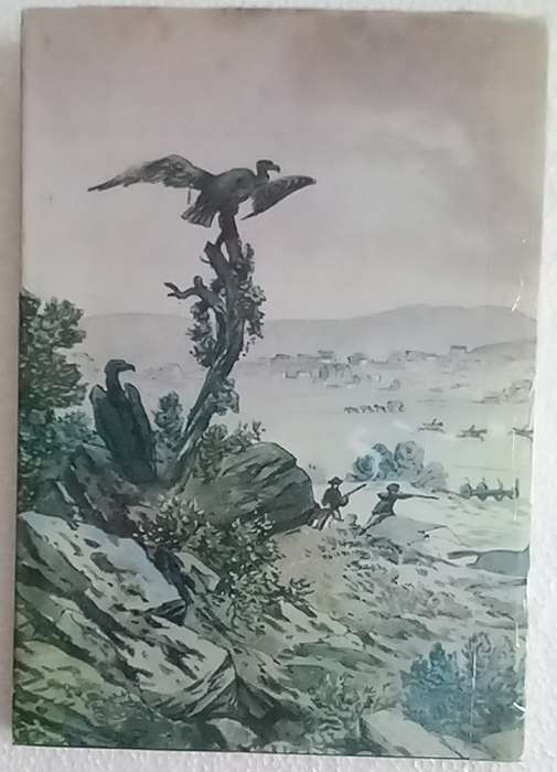 Vrystaat fokus (PJ Nienaber en CJP le Roux)