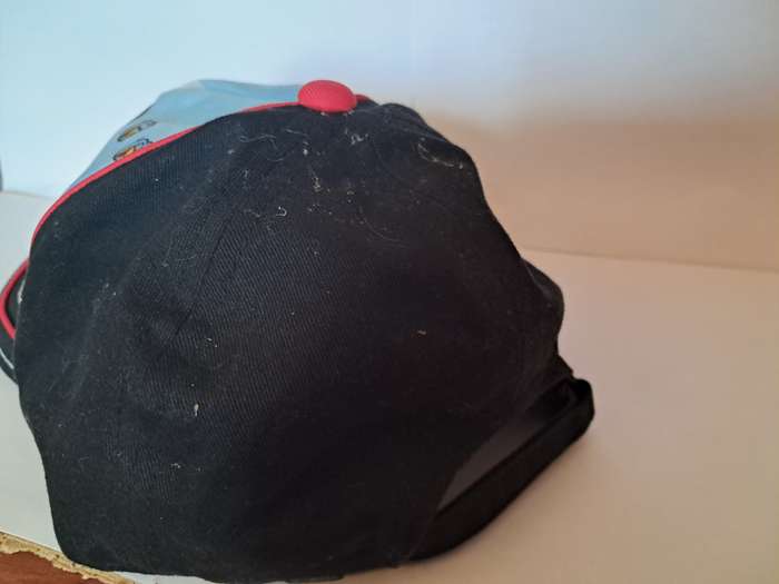 Angry Birds Cap