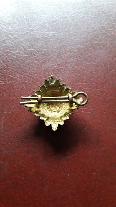 Motto of the Order of the Bath    pip badge