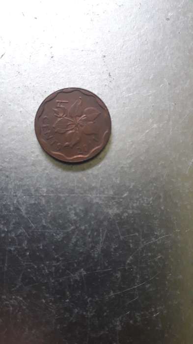 Swaziland  5 Cent  2011