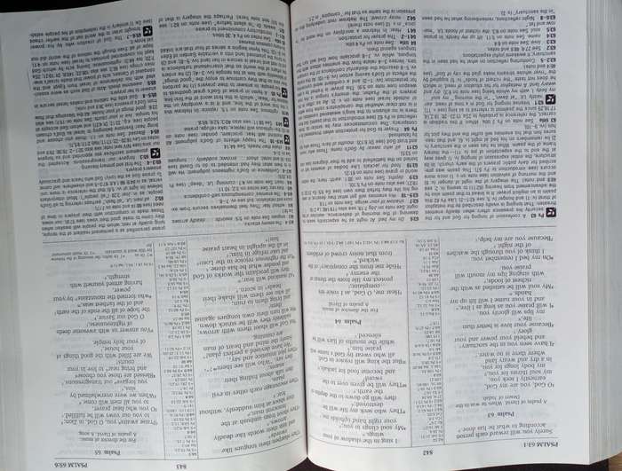 Bible - The NIV Study Bible - Zondervan - 1995
