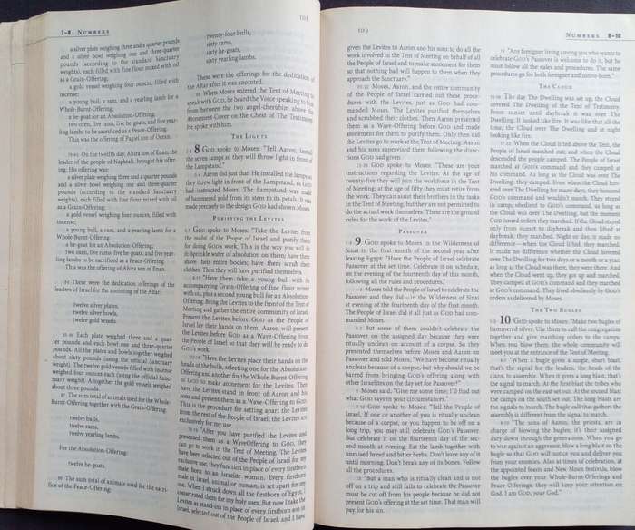 Bible The Message - International - 2005