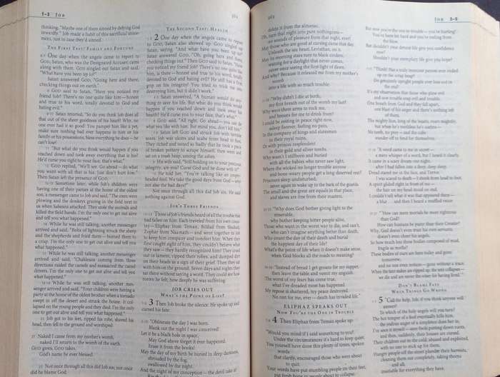 Bible The Message - International - 2005