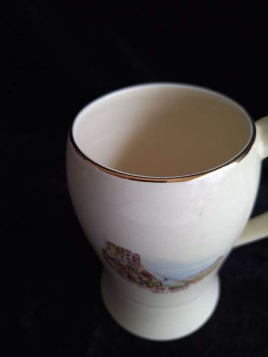 Vintage Crown Devon Souvenir Series (Cape Town) Beer Mug