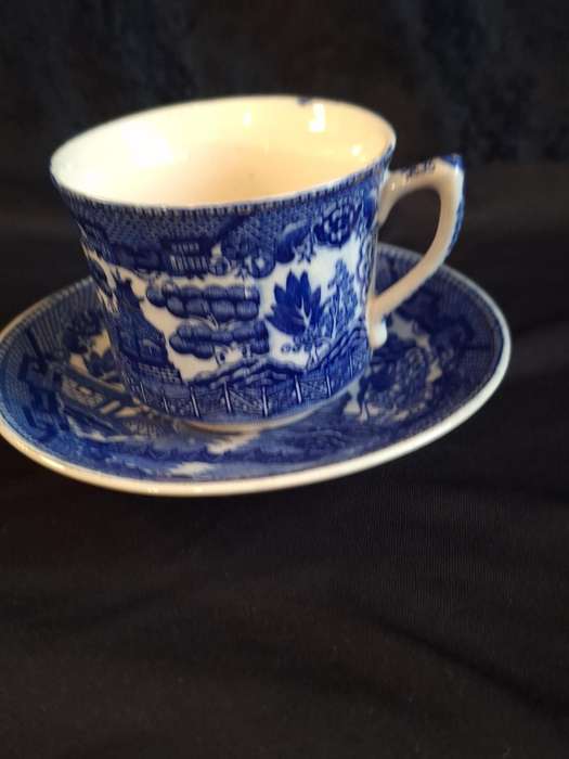 Vintage Willow Royal Venton Ware Duo