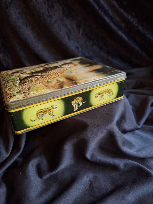 Vintage Edward Sharp Scenes of Kruger National Park - South Africa Tin - Leopard.