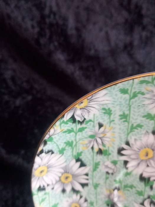 Vintage Shelley Chintz Green Daisy Saucer - A.
