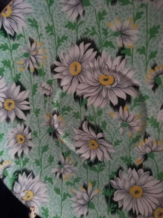 Vintage Shelley Chintz Green Daisy Saucer - A.