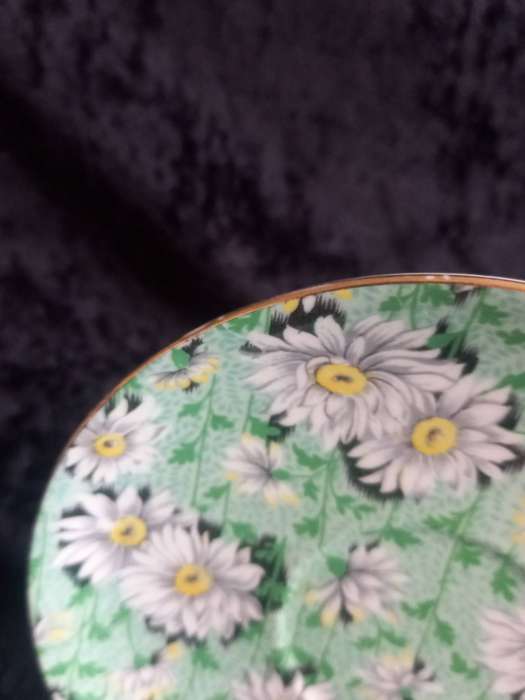 Vintage Shelley Chintz Green Daisy Saucer - B.