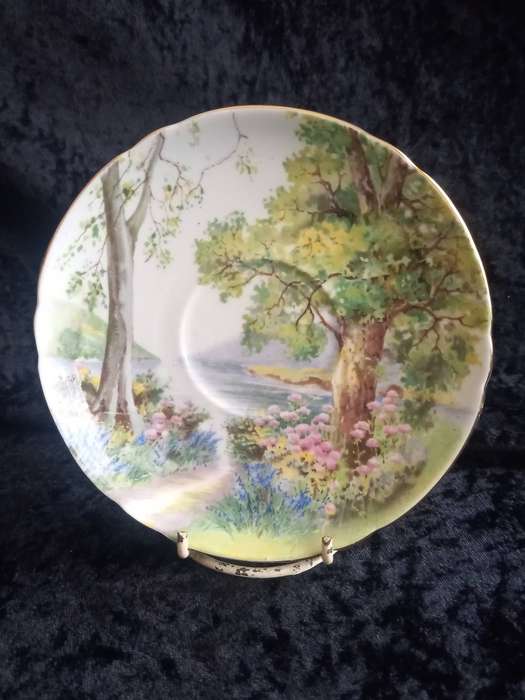 Vintage Shelley Woodlands Saucer - A.