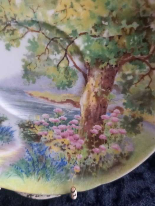 Vintage Shelley Woodlands Saucer - A.