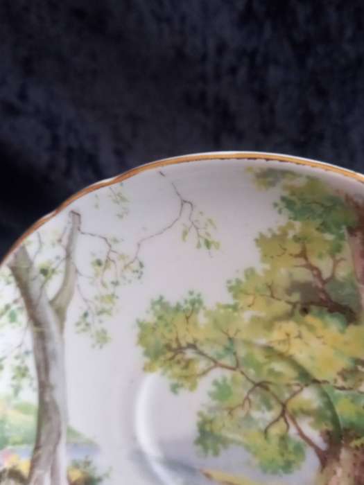 Vintage Shelley Woodlands Saucer - B.