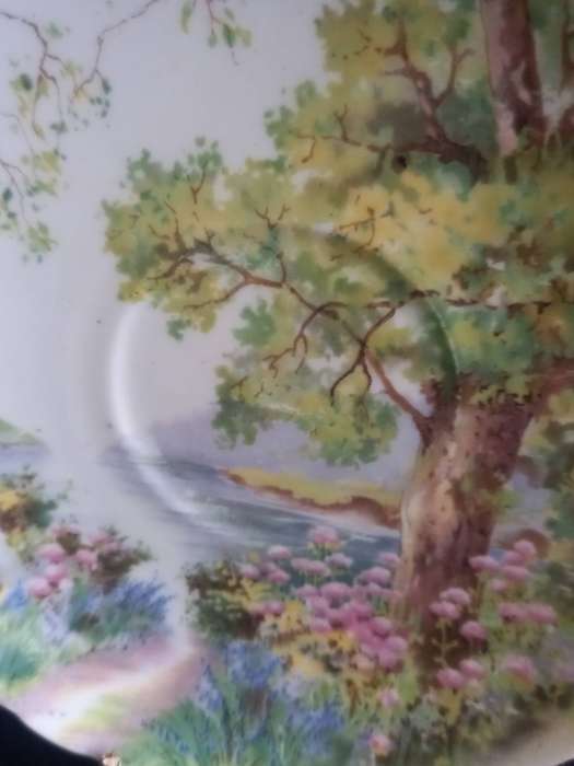 Vintage Shelley Woodlands Saucer - B.