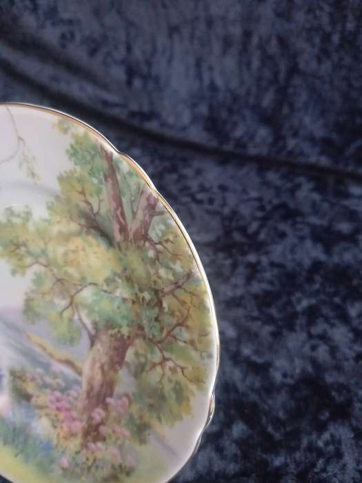 Vintage Shelley Woodland 13348 Small Plate - A.