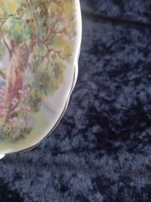 Vintage Shelley Woodland 13348 Small Plate - A.