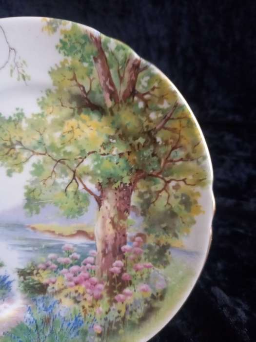 Vintage Shelley Woodland 13348 Small Plate - B.
