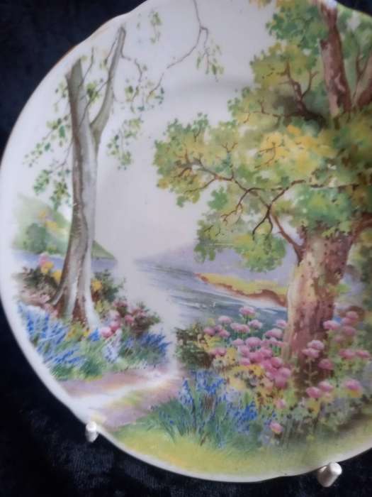 Vintage Shelley Woodland 13348 Small Plate - B.