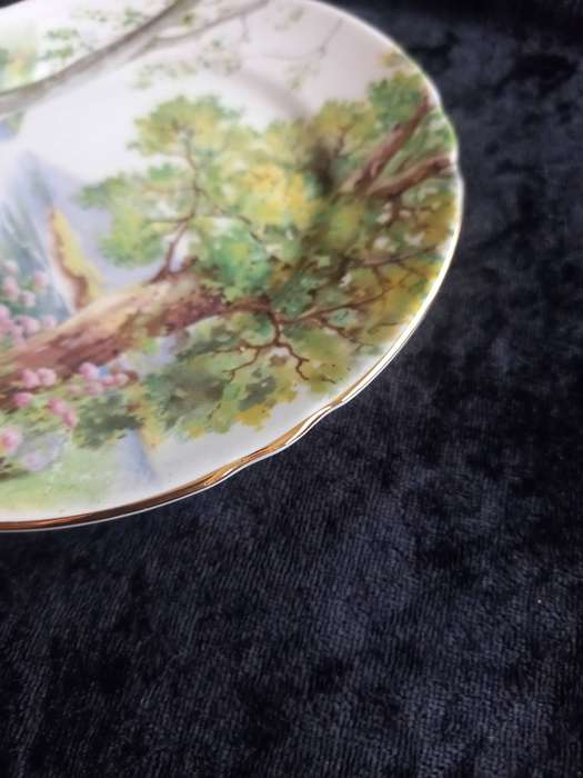 Vintage Shelley Woodland 13348 Small Plate - B.