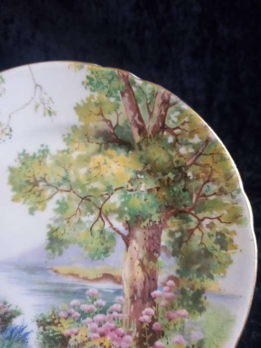 Vintage Shelley Woodland 13348 Small Plate - C.