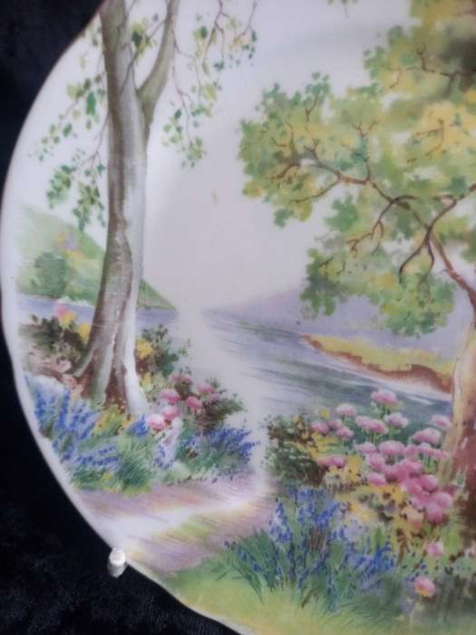 Vintage Shelley Woodland 13348 Small Plate - C.