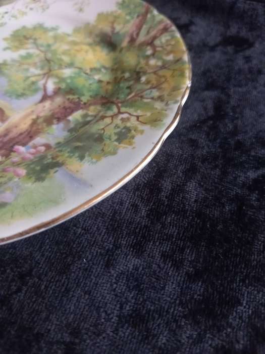 Vintage Shelley Woodland 13348 Small Plate - C.