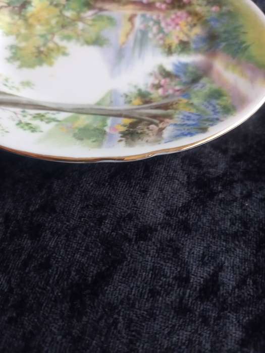 Vintage Shelley Woodland 13348 Small Plate - C.