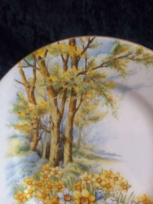 Vintage Shelley Daffodil Time 13370 Small Plate.