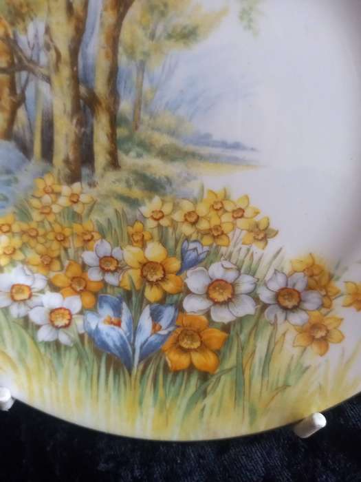 Vintage Shelley Daffodil Time 13370 Small Plate.