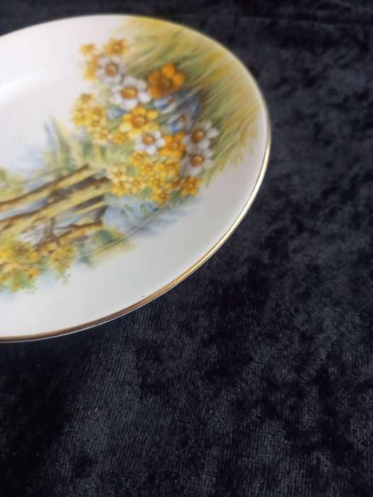 Vintage Shelley Daffodil Time 13370 Small Plate.