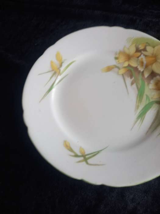 Vintage Shelley Daffodil 13670 Small Plate - C.