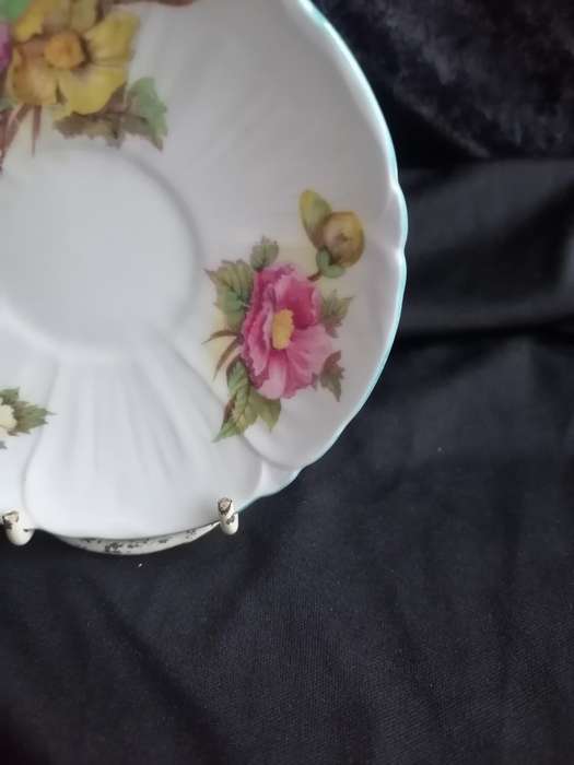 Vintage Shelley Begonia Coffee Saucer - 13427.