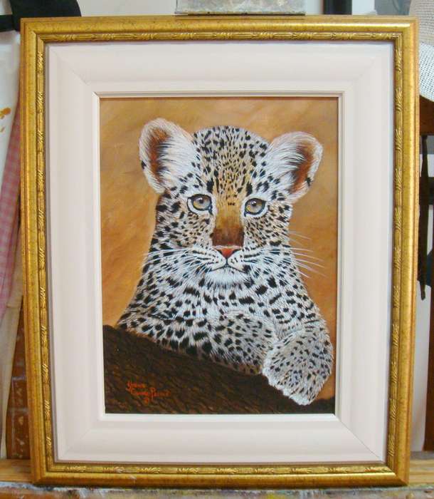 Baby Leopard - Beautifully Framed Oil - Original by Yvonne Carola-Pearce - Size 570mm x 470mm