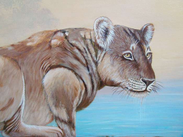 `LIONESS`  -  BEAUTIFULY FRAMED OIL - ORIGINAL !!  by  Yvonne Carola-Pearce - Size 780mm x 630mm