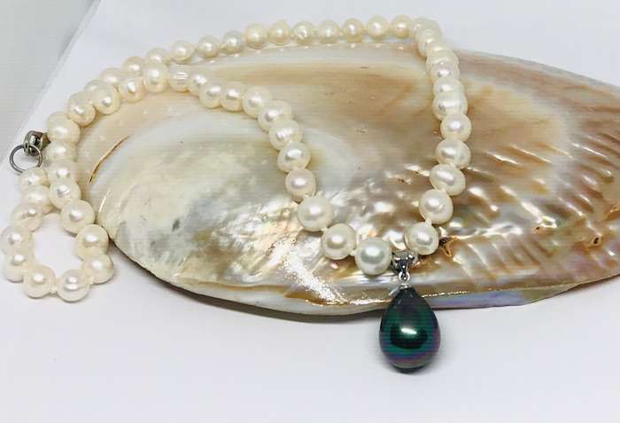 Genuine Pearl Necklace with Black/Peacock Shell Pearl Pendant