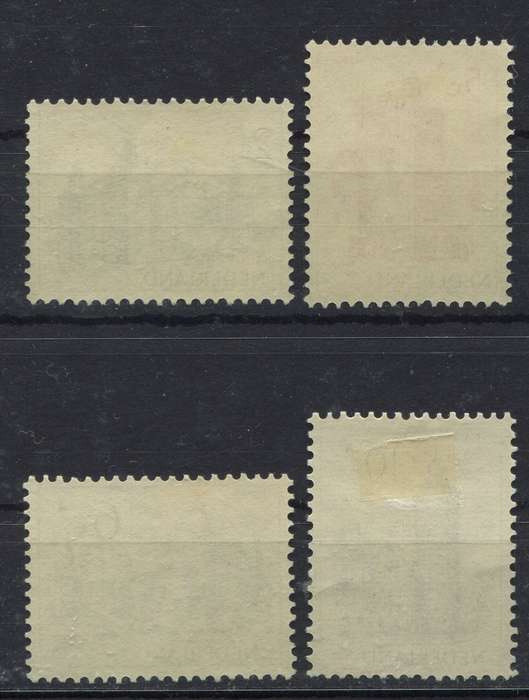Netherlands - 1951 - MM