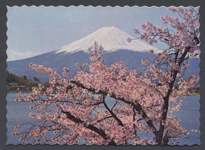 Post Card