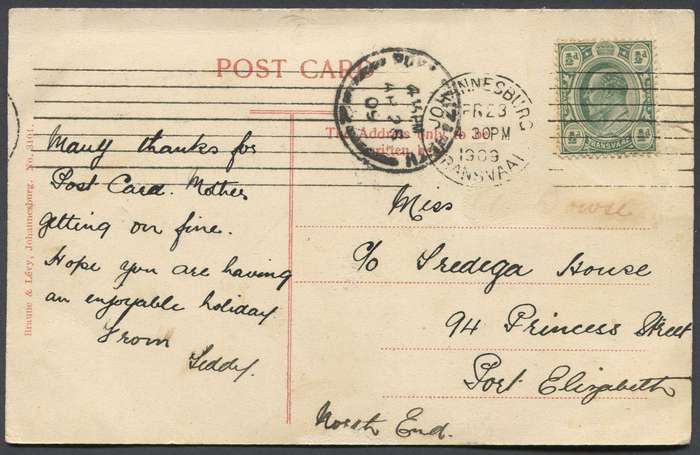 Transvaal - Post Card