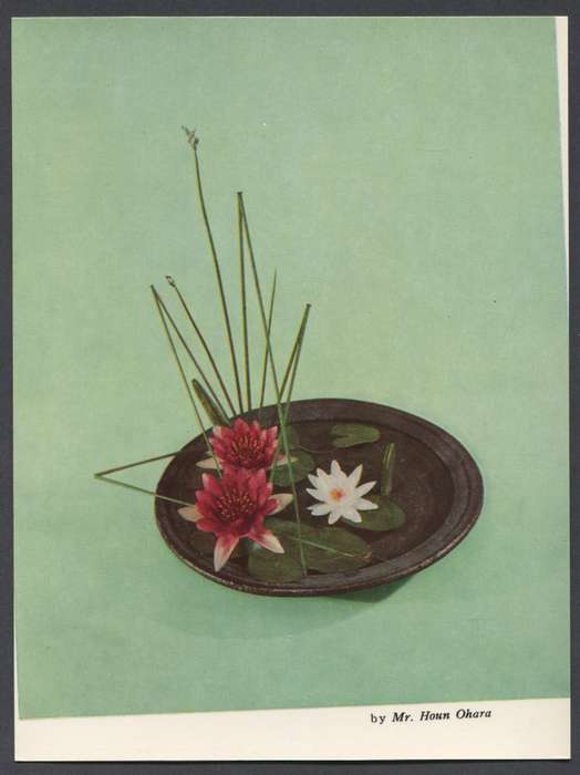 Post Card