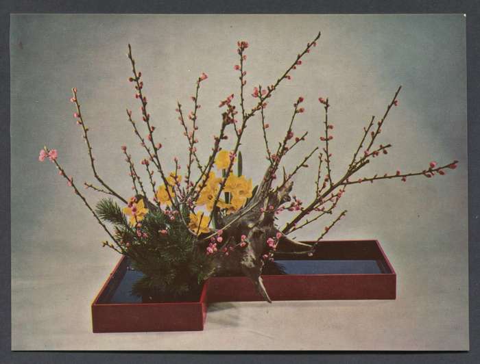 Post Card